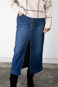 Acadia Denim Skirt